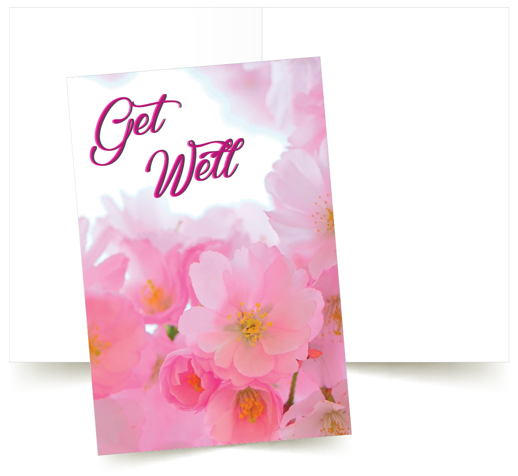 GET WELL Pink Flowers