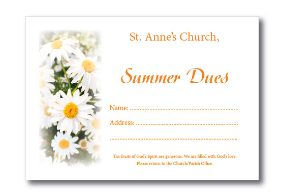 SUMMER DAISIES C6 Envelope